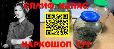 spice Кинель