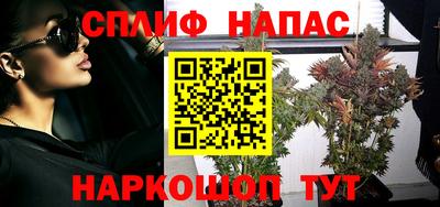 не бодяженный Кингисепп