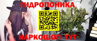 spice Кинель